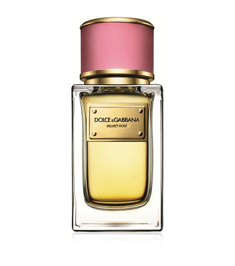 dolce gabbana perfume velvet rose|dolce and gabbana unisex perfume.